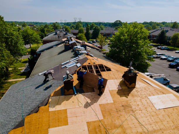 Best Roof Restoration Services  in Passapatanzy, VA